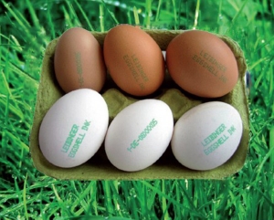 Zelený atrament na značenie vajec s FDA certifikáciou 75000-00101